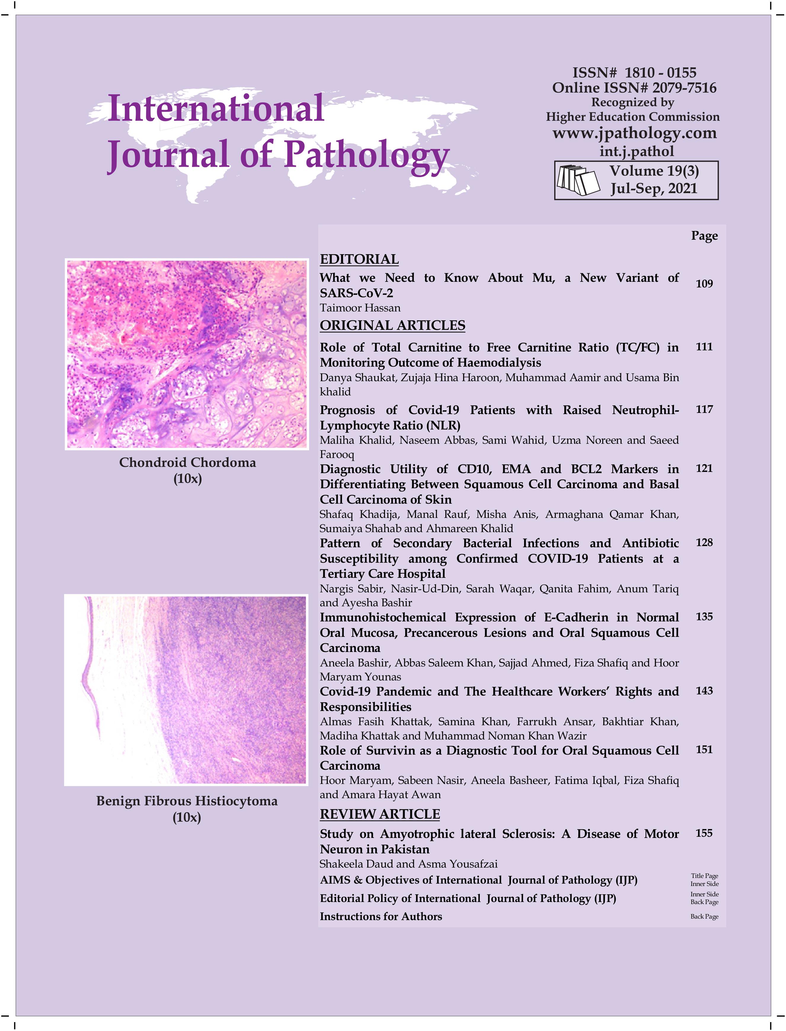 View Volume.19, Issue-3 (Jul-Sep 2021)